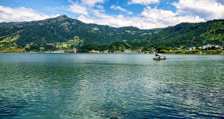 Pokhara : Randonnée guidée d'une journée de Dampus à Australian Camp (nuitée) - Himalayan Trekking & Tours 6