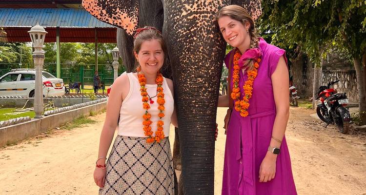 Icons Of India :-Taj Tiger With Udaipur & Mumbai's Vibrant Nightlife  - World Travel Experiences 10