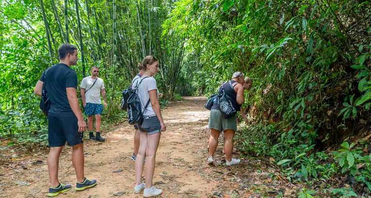 Thaïlande du Sud 10 jours d'aventure et de sérénité : Phuket, Khao Sok et Khao Lak - Open Asia Travel  6