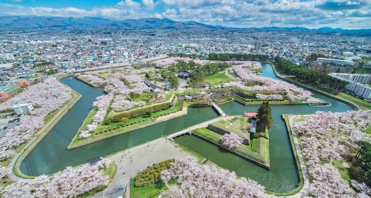 Tierra del Sol Naciente: Circuito de 12 Días por el Japón Icónico - Vio Travel 3