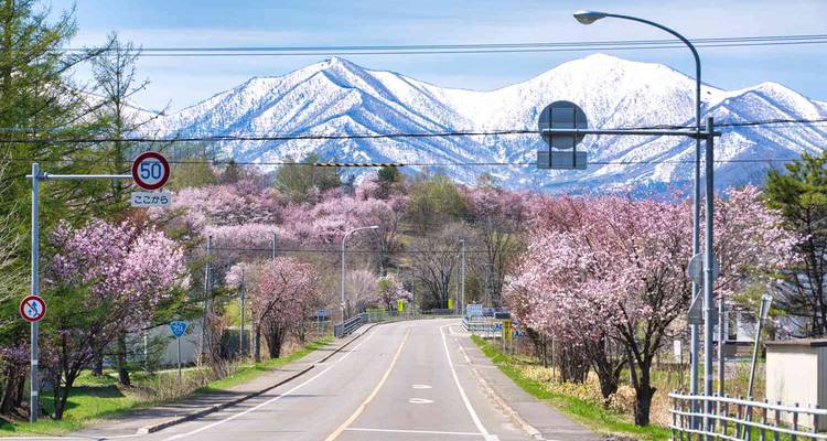 Tierra del Sol Naciente: Circuito de 12 Días por el Japón Icónico - Vio Travel 6