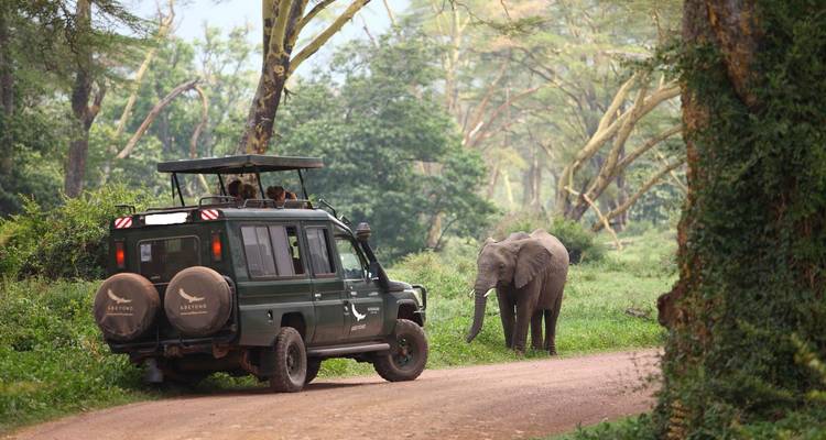 11 Days Kenya & Tanzania Birding & Big 5 High End Safari - Gracepatt Ecotours Kenya 10