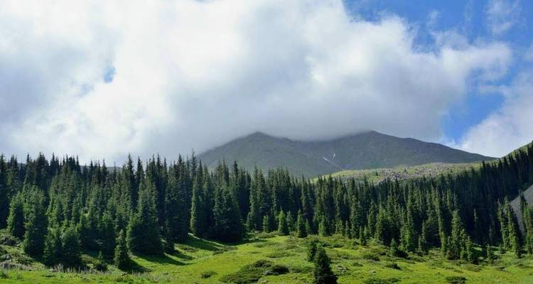 Circuit de 7 jours et 6 nuits Almaty - Bishkek - Nomads Yurt 10