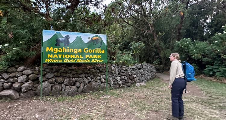 3 Day Gorilla Tracking Mgahinga Gorilla NP Thru Rwanda - Safari 2 Gorilla Tours (U) Ltd 6