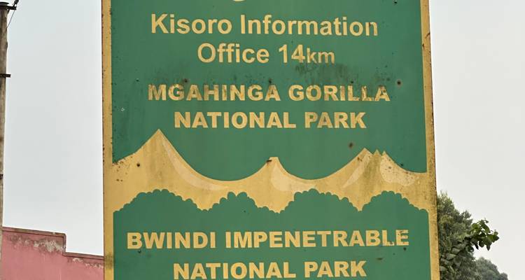 3 Day Gorilla Tracking Mgahinga Gorilla NP Thru Rwanda - Safari 2 Gorilla Tours (U) Ltd 10