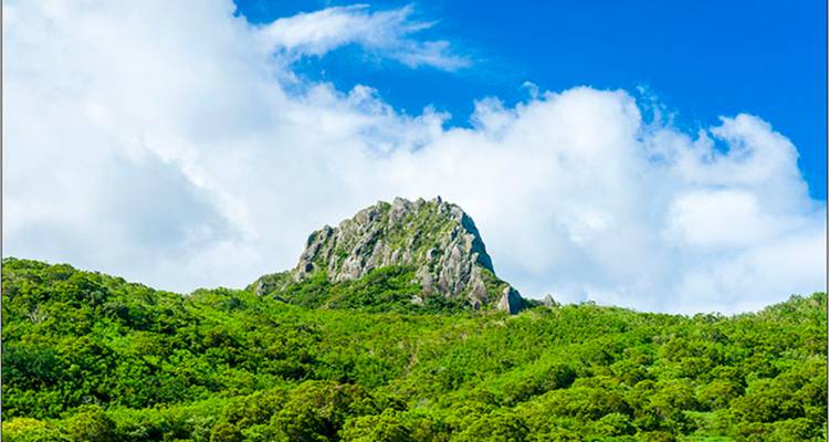 Taiwán: Taipei, Lago Sun Moon, Tainan, Kaohsiung, Kenting, Taroko - 8 días - Receptivo Aborigen Tours 1