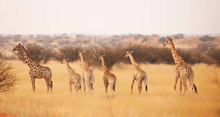 Upgraded - Highlights of Namibia - Explore! 3