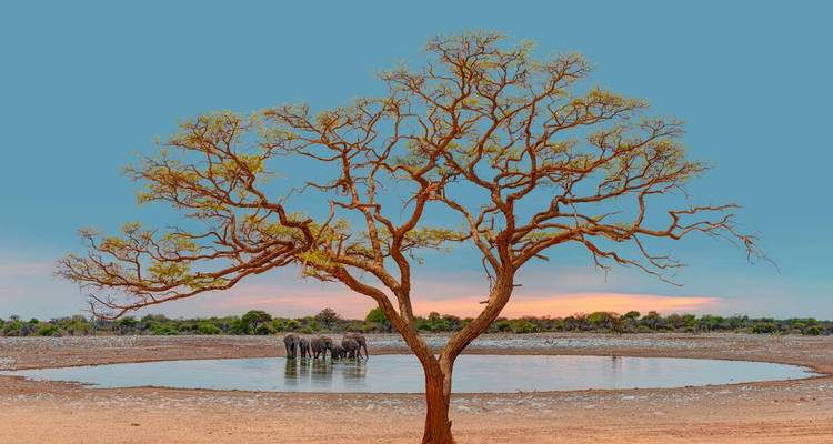 Upgraded - Highlights of Namibia - Explore! 7
