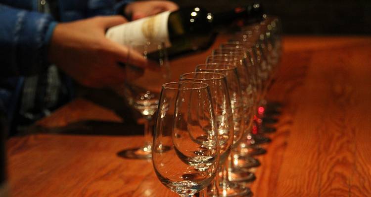 WINE TOUR IN CZECHIA with visit of Prague - Czechia-Tours 3