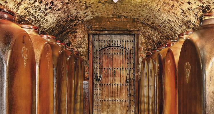 WINE TOUR IN CZECHIA with visit of Prague - Czechia-Tours 10