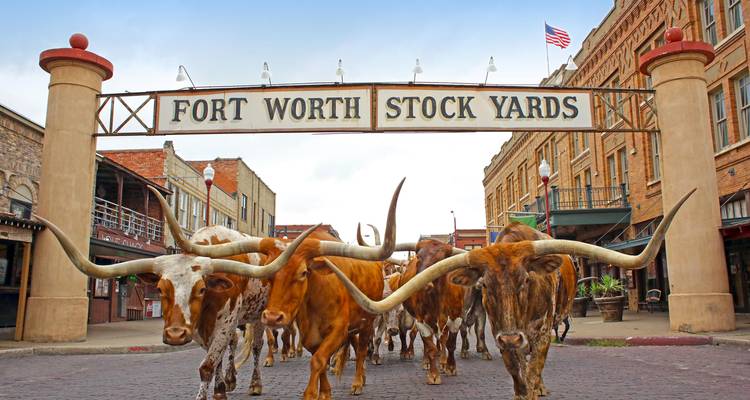 Simplemente Texas (Itinerario invertido) - Travelling Time 2