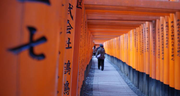 Japan & China:  17 Days Highlights Small Group Tour - Top China Travel 4