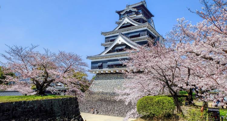 Japan & China:  17 Days Highlights Small Group Tour - Top China Travel 7