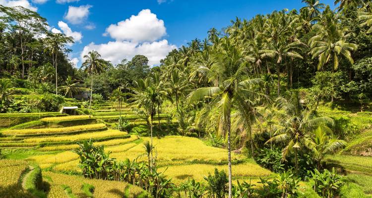 Java, Gili & Bali: Volcano Views, Jungle Swing & Sandy Beaches - journaway 4