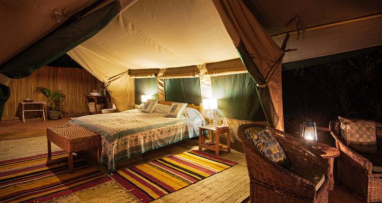 【Kenya】7 Days Black Leopard Safari Tour Packages - Delightful Travel 3