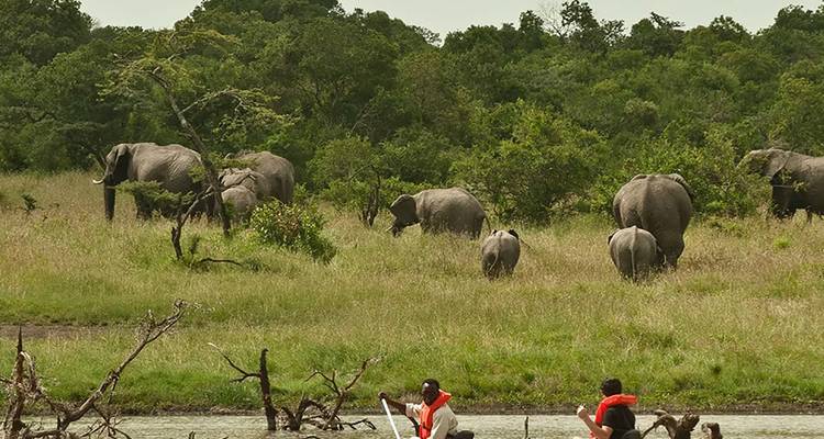 【Kenya】7 Days Black Leopard Safari Tour Packages - Delightful Travel 4
