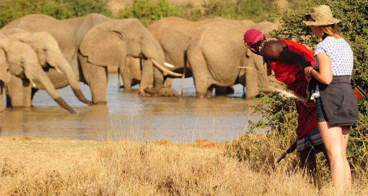 【Kenya】7 Days Black Leopard Safari Tour Packages - Delightful Travel 9