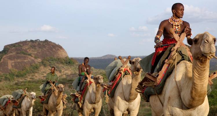 【Kenya】7 Days Black Leopard Safari Tour Packages - Delightful Travel 10