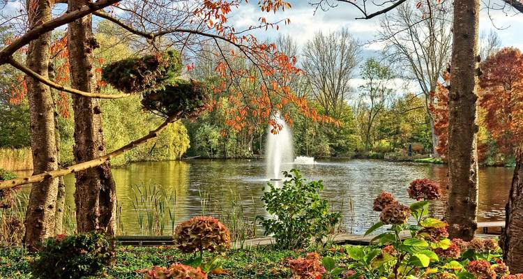 Jardin paisible avec un étang et une fontaine.