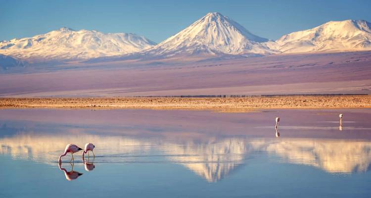 Desierto de Atacama y Salar de Uyuni - Aventura en Grupo - People Travel and Experience 10