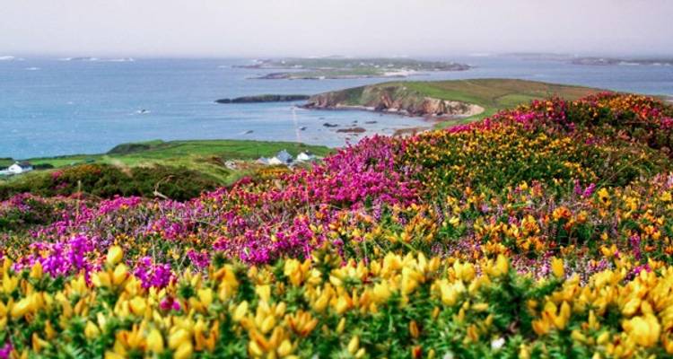Asombrosa Irlanda - Brendan Vacations 1