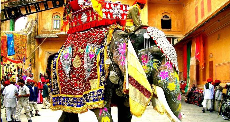 Festival de los Colores de Holi Circuito por la India 7 Días - TTI TOURS 2