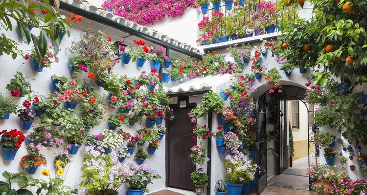 From Costa del Sol 5-Day Andalucia y Madrid - VPT Tours 3