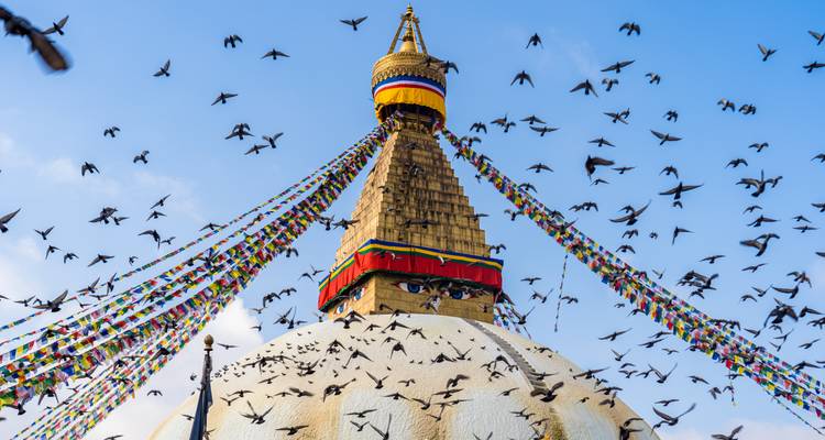 Kathmandu Chitwan Tour - Himalayan Trekking & Tours 3
