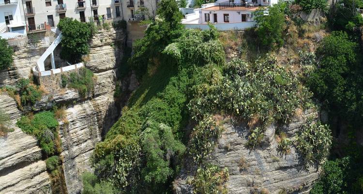 From Costa del Sol  10-Day Andalucia and Portugal - VPT Tours 3