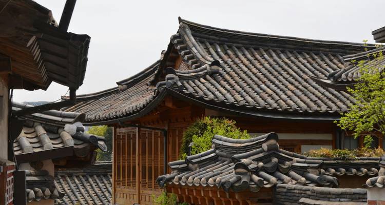 6 jours d'aventure en Corée du Sud, de Busan à Séoul - Intertrips 8
