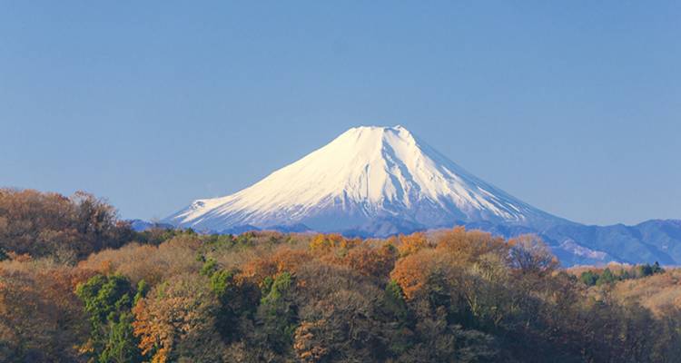 Best Japan-Korea 12-Day Small Group Tour - Top China Travel 1