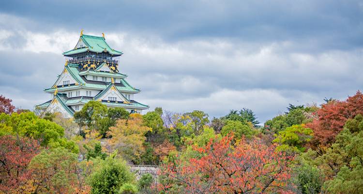Best Japan-Korea 12-Day Small Group Tour - Top China Travel 3