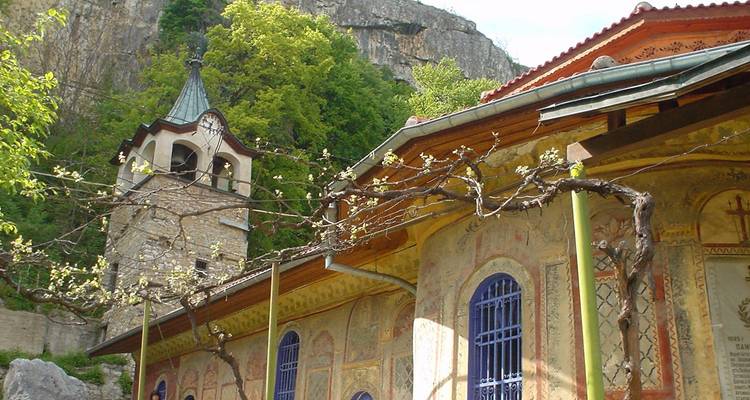 Edificio ornamentado con una torre del reloj rodeado de árboles.