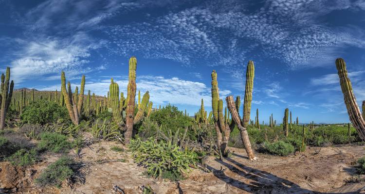 Hidden Gems Baja California Sur - Miller Reisen 3