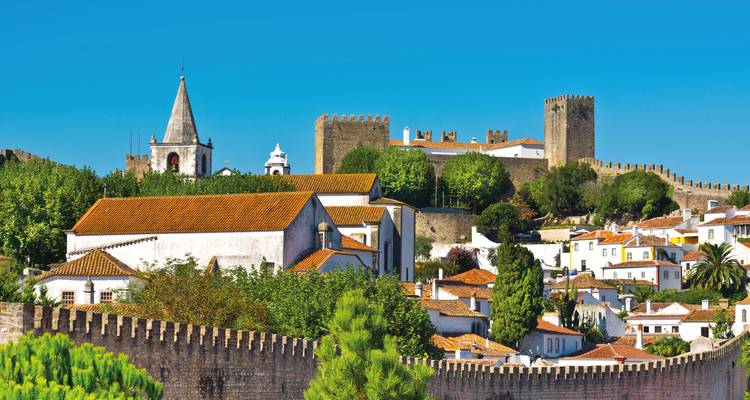 Vue d'une ville historique avec des remparts et des églises.