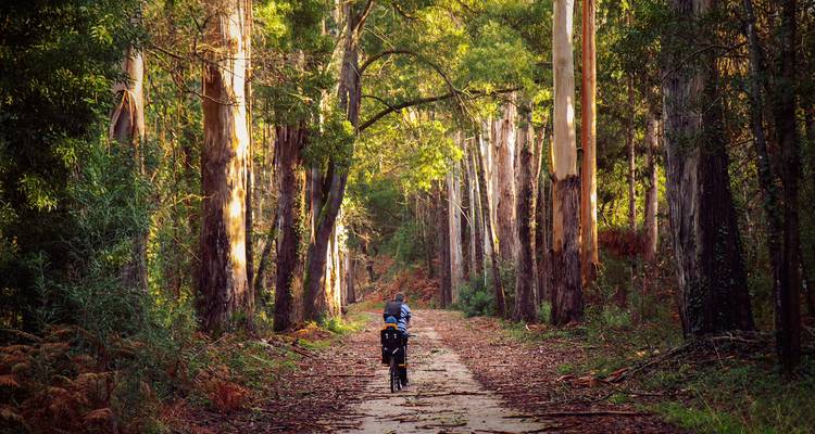Porto to Lisbon Premium self-guided bike tour - Authentic Trails 3