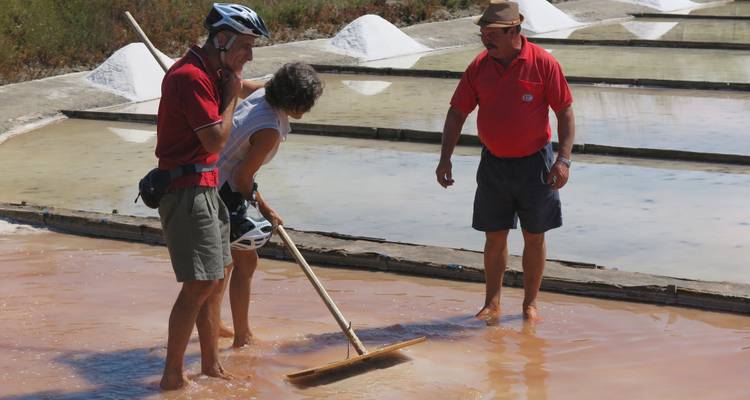 Des personnes travaillant dans des marais salants.