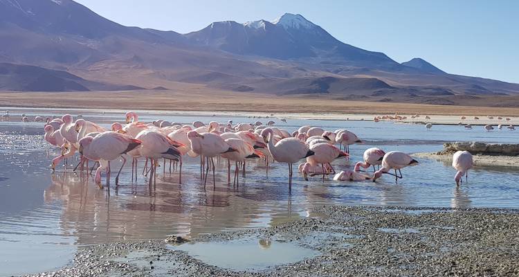 Shared in car to Uyuni and Desert - SIMPLE BOLIVIA TRAVEL  9