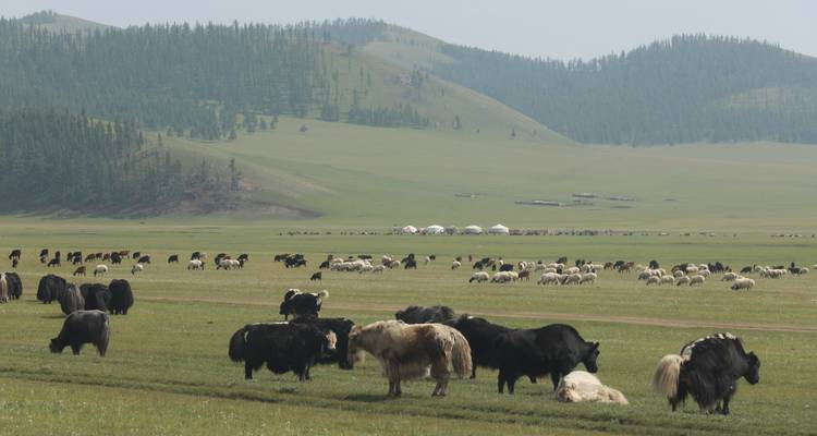 Circuit à cheval dans la steppe 12 jours - View Mongolia Travel 7
