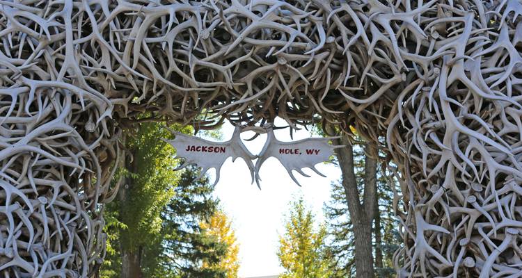 Antler arch in a park with trees and walkway.