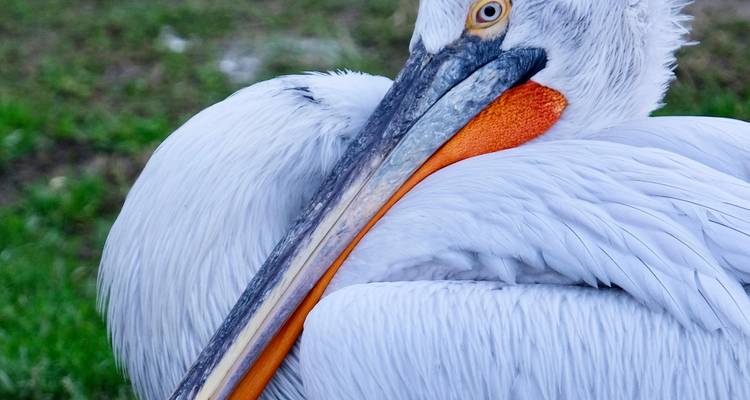 Balkan Lakes Odyssey - Fully guided private tour - SEE Trips 1