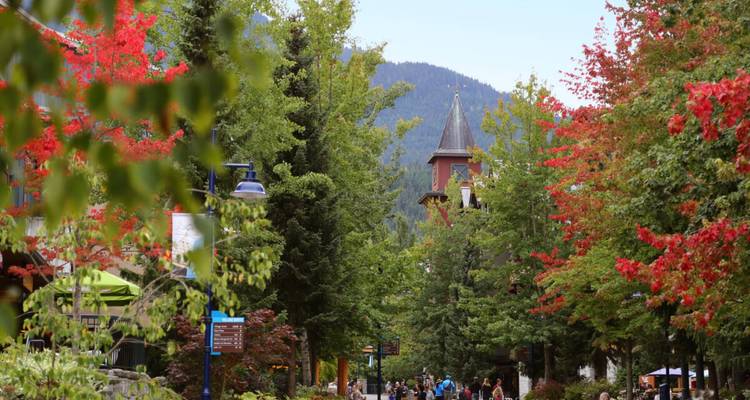 Sea to Sky City Stay: Vancouver and Whistler - Landsby 9