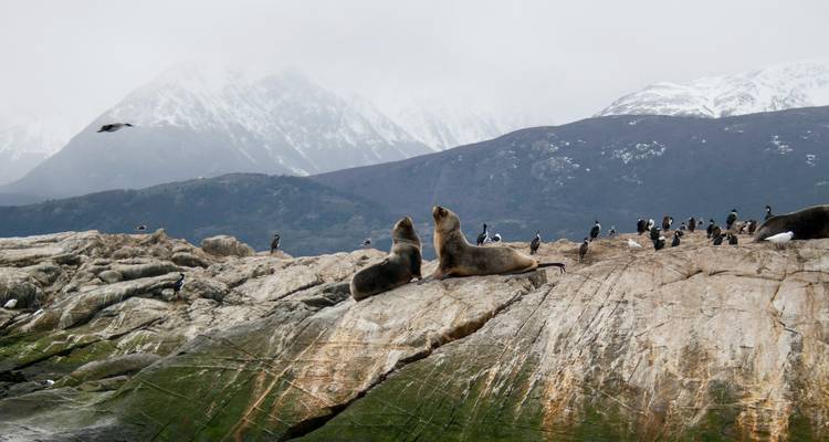 Viaje a Argentina: Buenos Aires, Ushuaia, El Calafate y Cataratas del Iguazú - People Travel and Experience 3