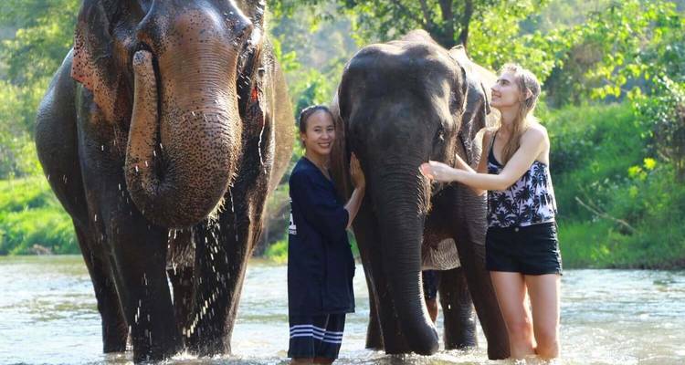 Two women standing in river affectionately bathing two Asian elephants in a lush forest setting