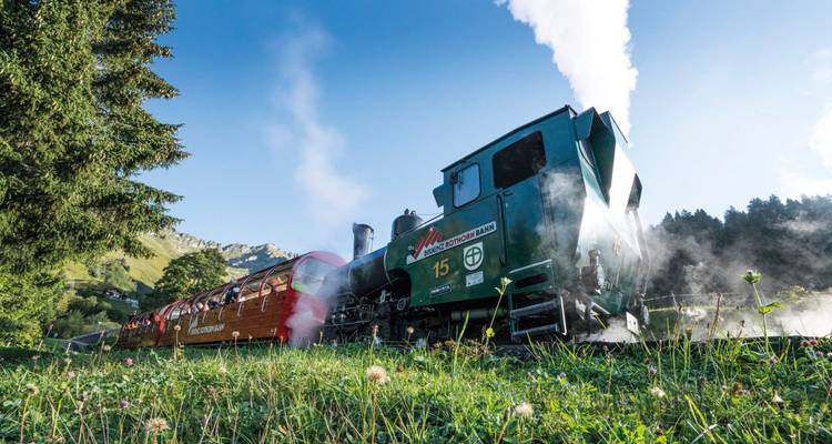 Grand Tour de Suisse Explorer l'histoire et le patrimoine : visite de groupe jointe - STC Switzerland Travel Centre 4