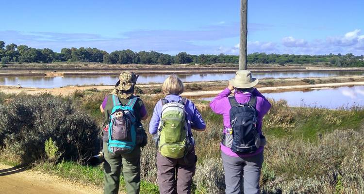Observation des oiseaux à Tavira et Ria Formosa, 8 jours - Be Cool 4