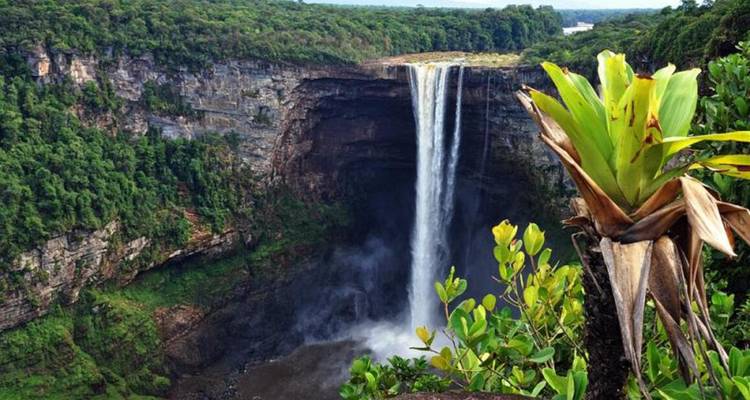 View of Kaieteur Falls surrounded by lush greenery.