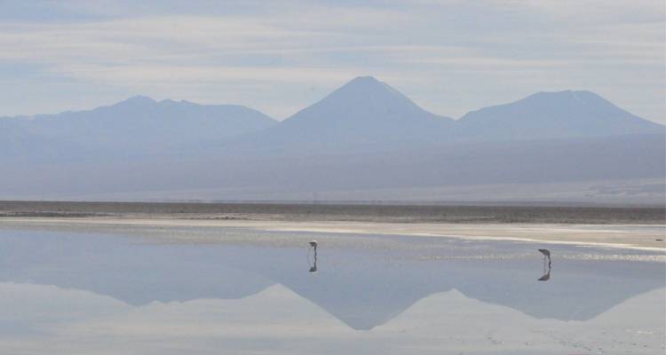 11-Day Journey Through the Spectacular Highlights of Chile! - Trips SouthAmerica 7