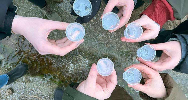 Groep handen die doorzichtige plastic bekers vasthouden voor een toast.