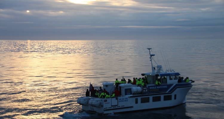 5 jours Reykjavík Islande & Eclipse solaire Aventure en mer Grand groupe - GJ Travel 4